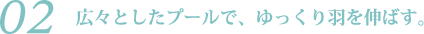 広々としたプールで、ゆっくり羽を伸ばす。